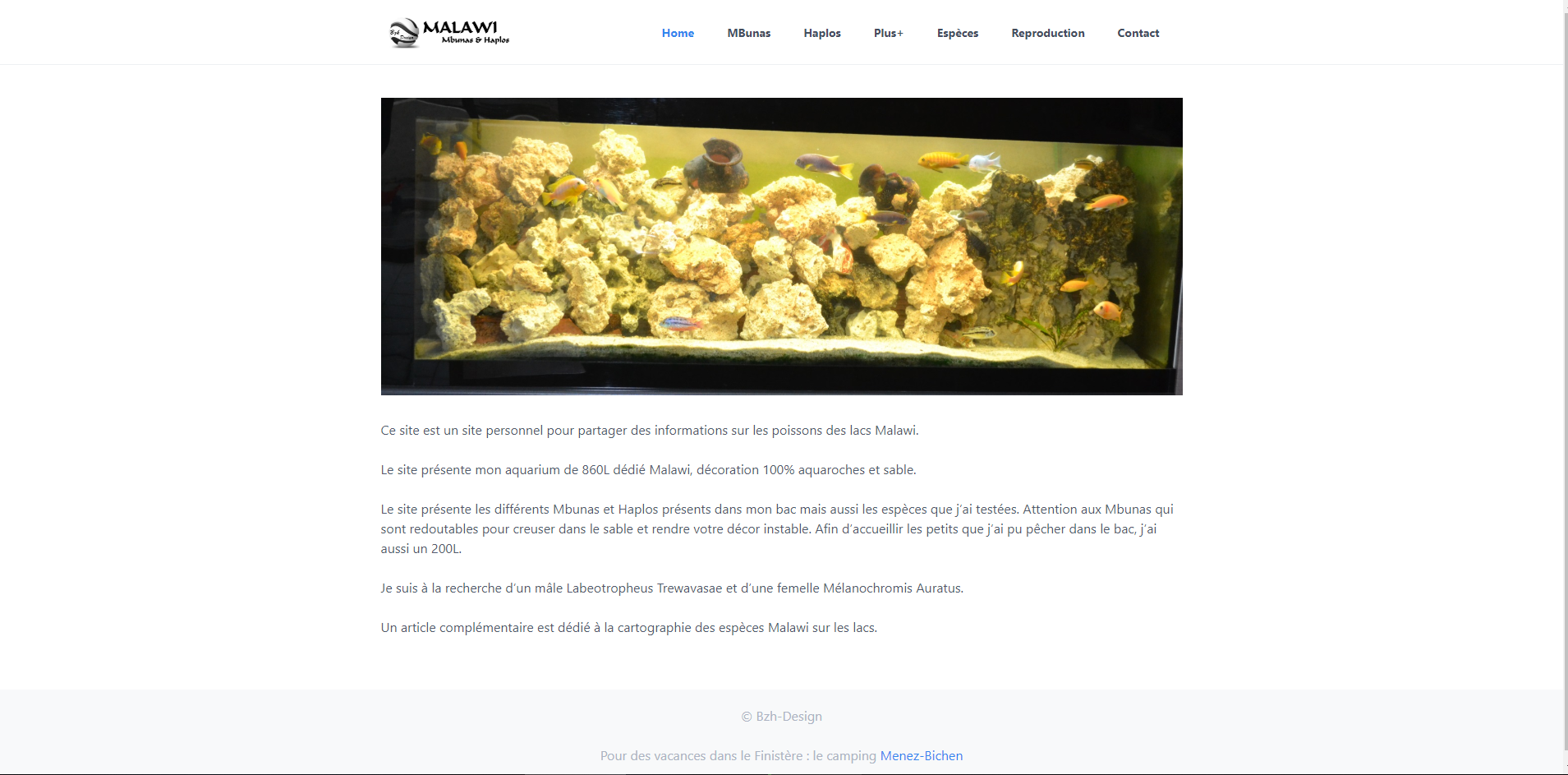 Les poissons Malawi